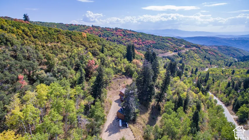 Mountainous terrain with natural tree coverage and a winding paved road