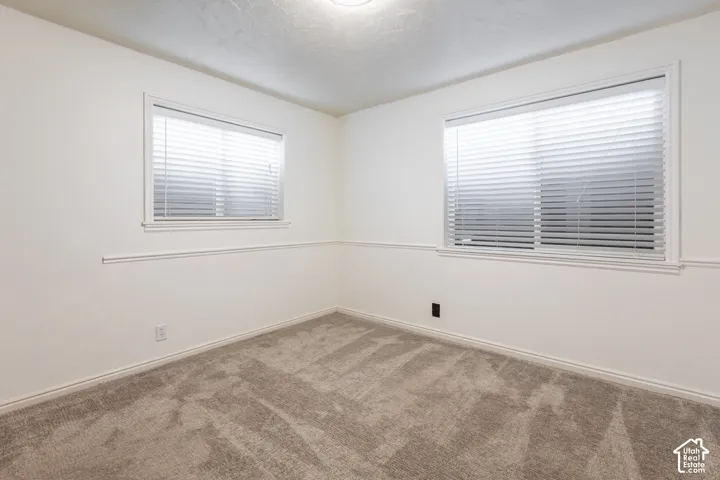 Neutral tone wall paint, two windows with blinds, light-colored carpeting, and a ceiling-mounted light fixture