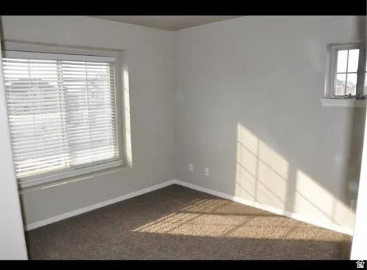 Carpeted flooring, neutral wall tones, and multiple windows with blinds