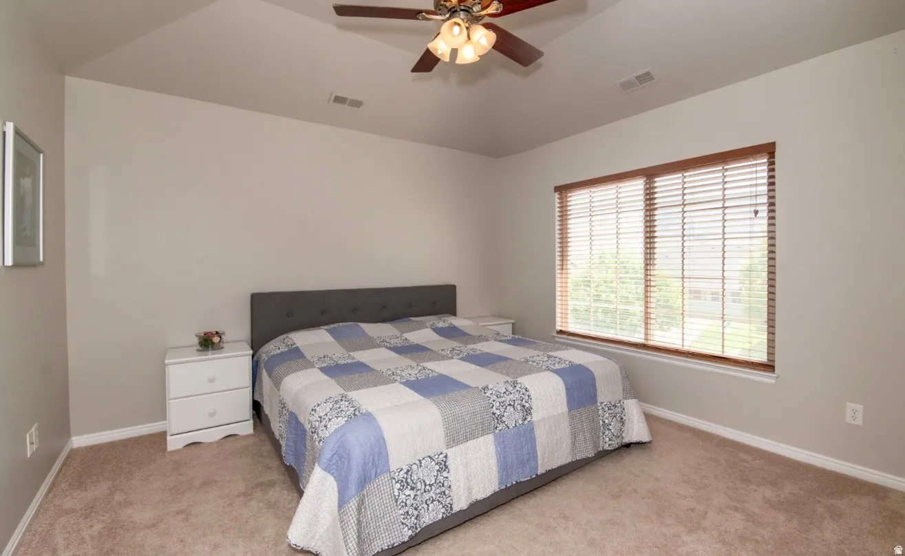 Tray ceiling with a ceiling fan light fixture, carpet flooring, and a window with wood-finish blinds