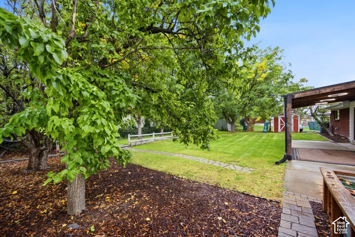 Lush backyard oasis featuring mature shade trees, expansive manicured lawn, and rich mulched landscaping beds