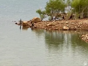 Quail Lake shore fishing