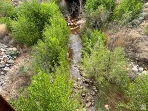 Quail Creek feeding Quail Lake to the Ease.   Natural water feature with surrounding green foliage and rocky banks