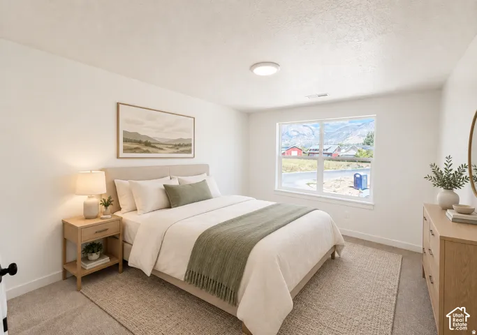 Carpeted flooring, a window offering mountain scenery, and a ceiling-mounted light fixture