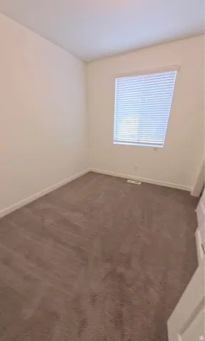 Plush carpet flooring, neutral wall tones, and a window with horizontal blinds