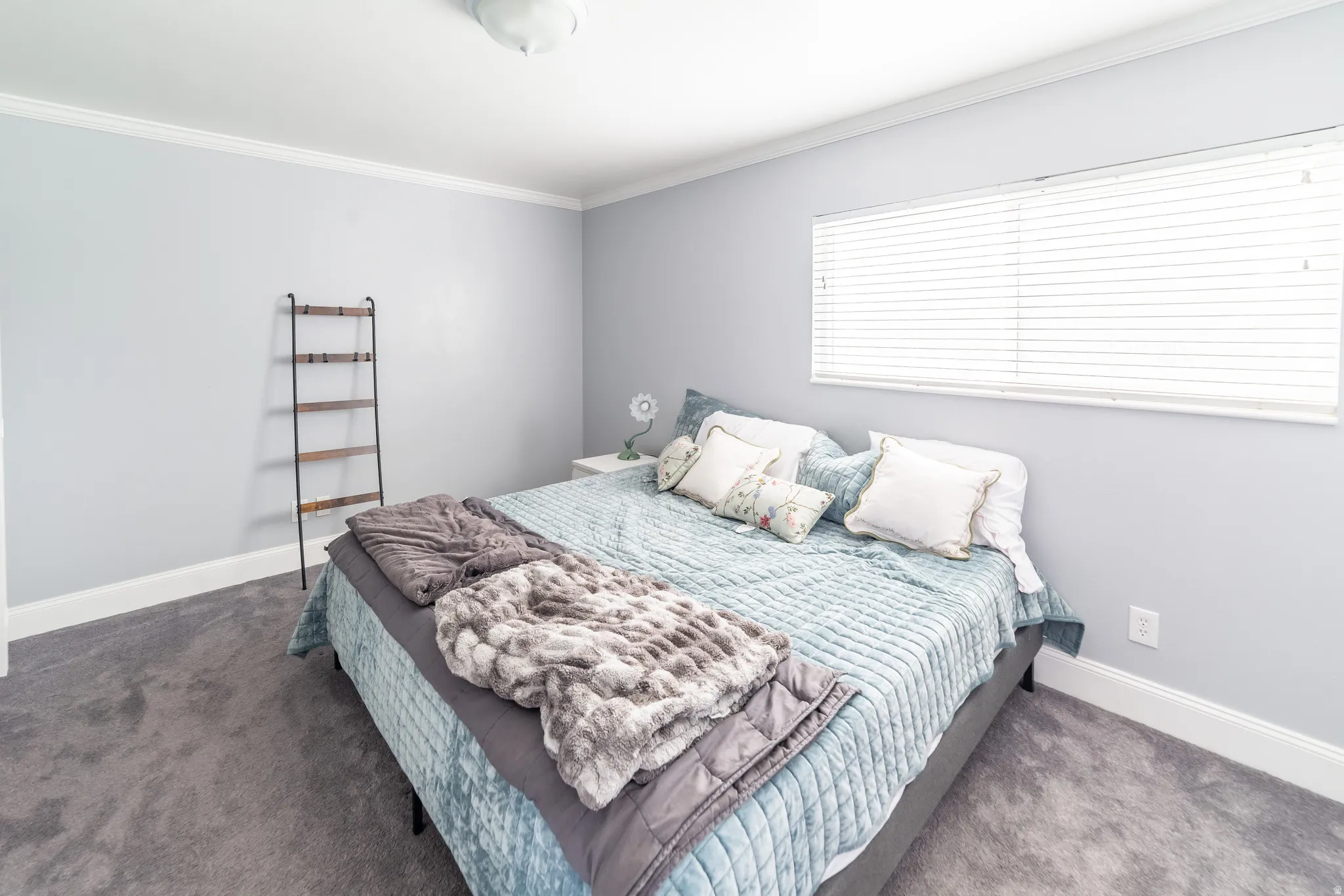 Plush gray carpeting, light blue wall paint, white crown molding, white baseboards, and a window with horizontal blinds