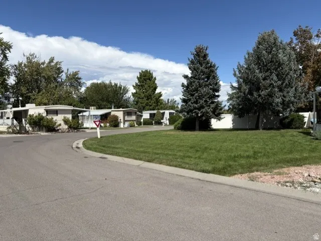 Paved road with a grass verge and mature trees