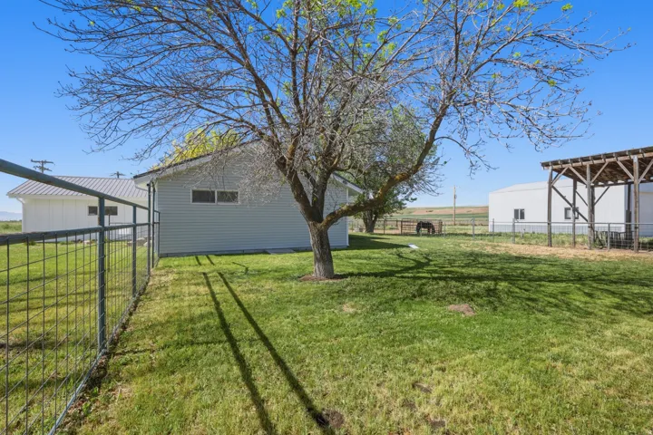 Expansive grassy yard with mature tree providing shade