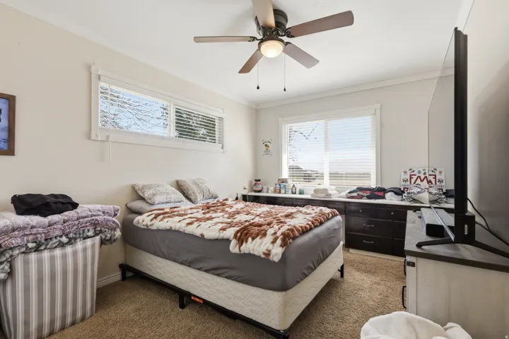 Recessed windows with blinds, ceiling fan, and carpeted flooring