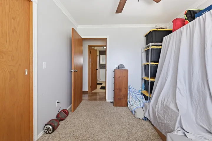 Carpeted flooring, crown molding, and wood-finish doors
