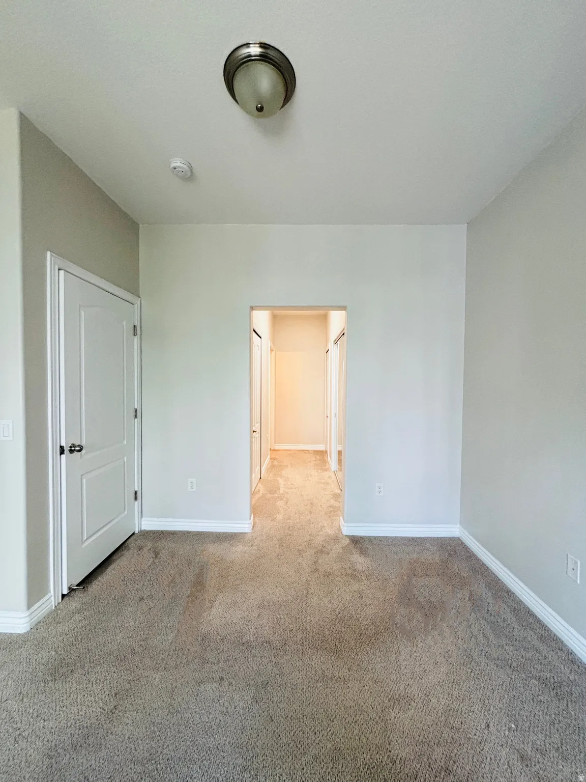 Neutral-toned wall paint, carpeted flooring, white interior door, and ceiling-mounted light fixture