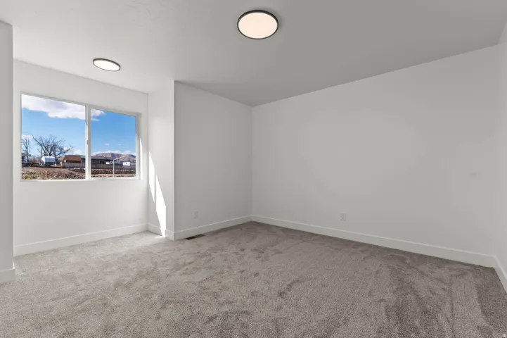 Light gray carpet, white walls, flush mount lighting, and a large window