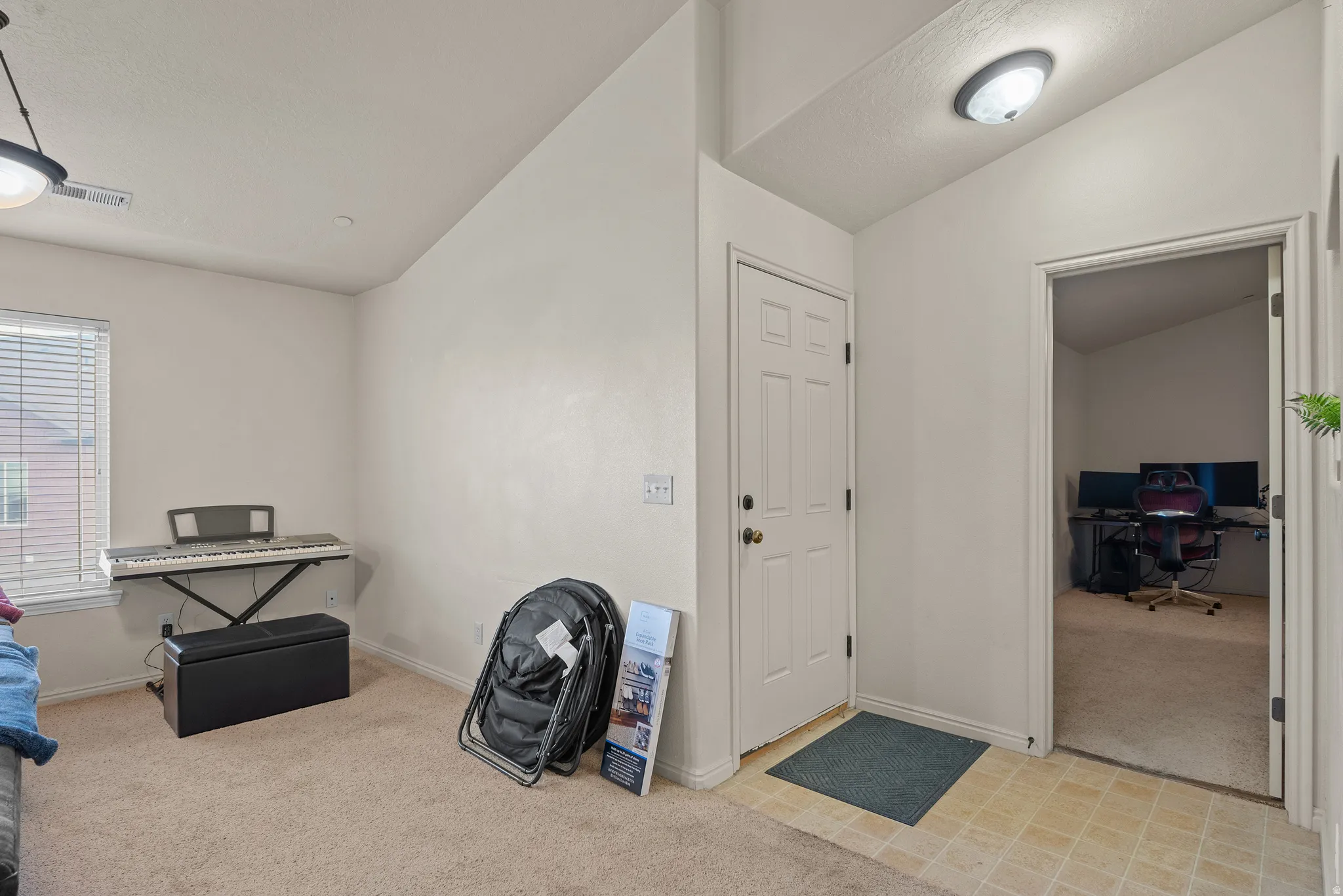 Entryway with paneled door, flush-mount lighting, and mixed flooring transitions to carpeted interior spaces
