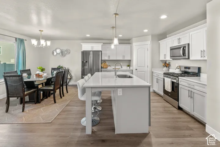 Modern kitchen featuring white cabinetry, stainless steel appliances, a large island with sink, pendant lighting, and wood-finish flooring