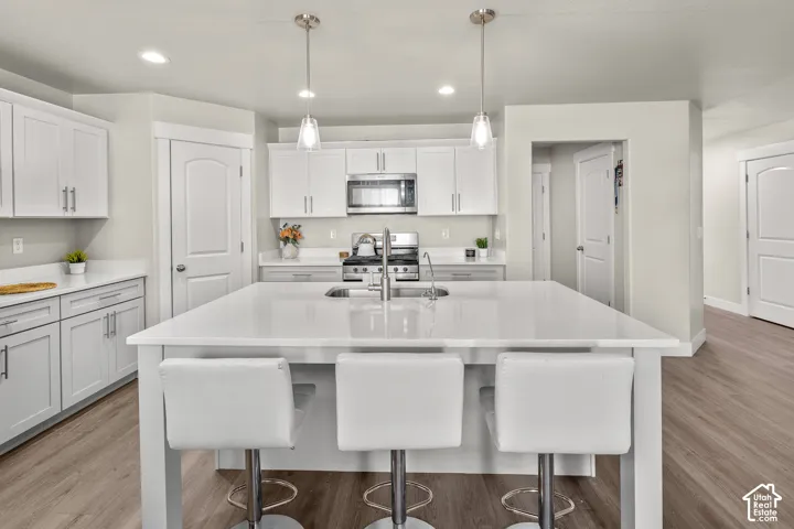Kitchen featuring an expansive island with a breakfast bar, stainless steel appliances, recessed lighting, and wood-finish flooring