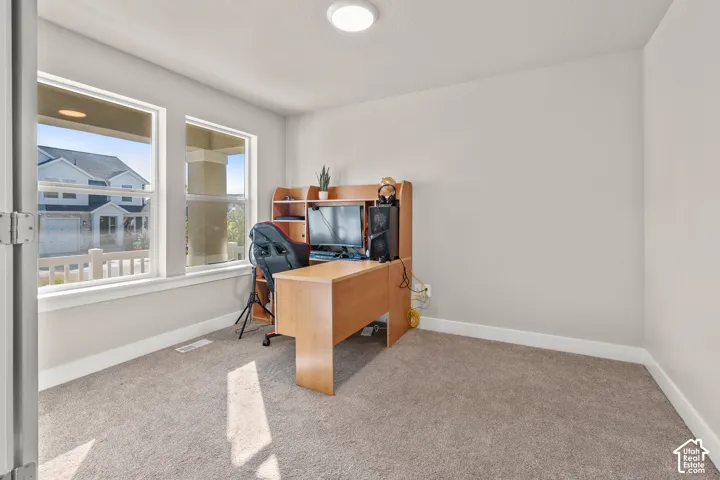 Plush carpet flooring, neutral wall tones, two large windows, and a ceiling-mounted light fixture