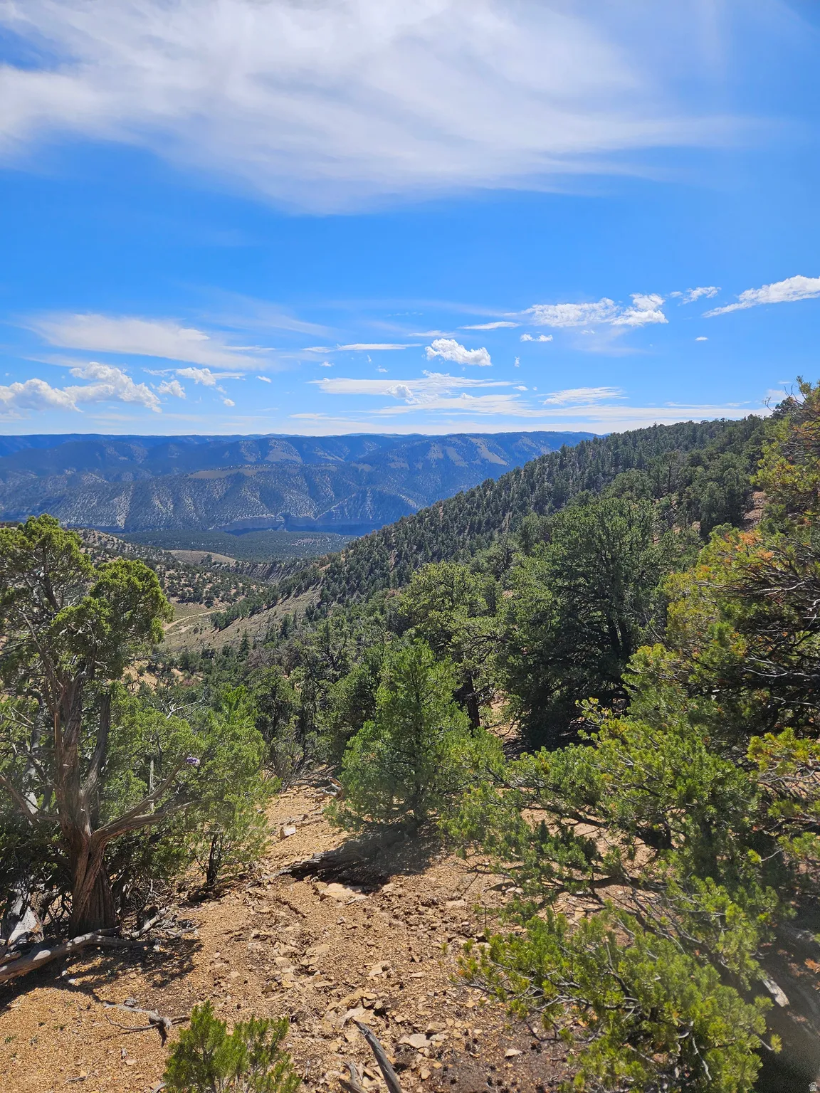 Expansive natural landscape featuring rolling hills and distant mountain ranges under a clear sky