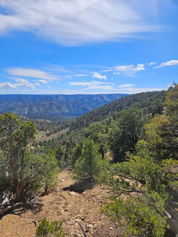 Expansive natural landscape featuring rolling hills and distant mountain ranges under a clear sky
