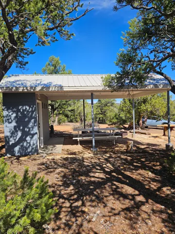 Outdoor structure featuring a metal roof, concrete patio area, and surrounding natural foliage