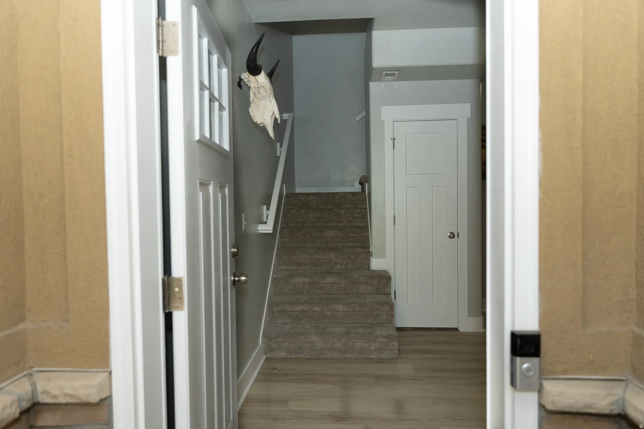 Entryway featuring a white paneled door with window, wood-finish flooring, and carpeted stairs with a handrail