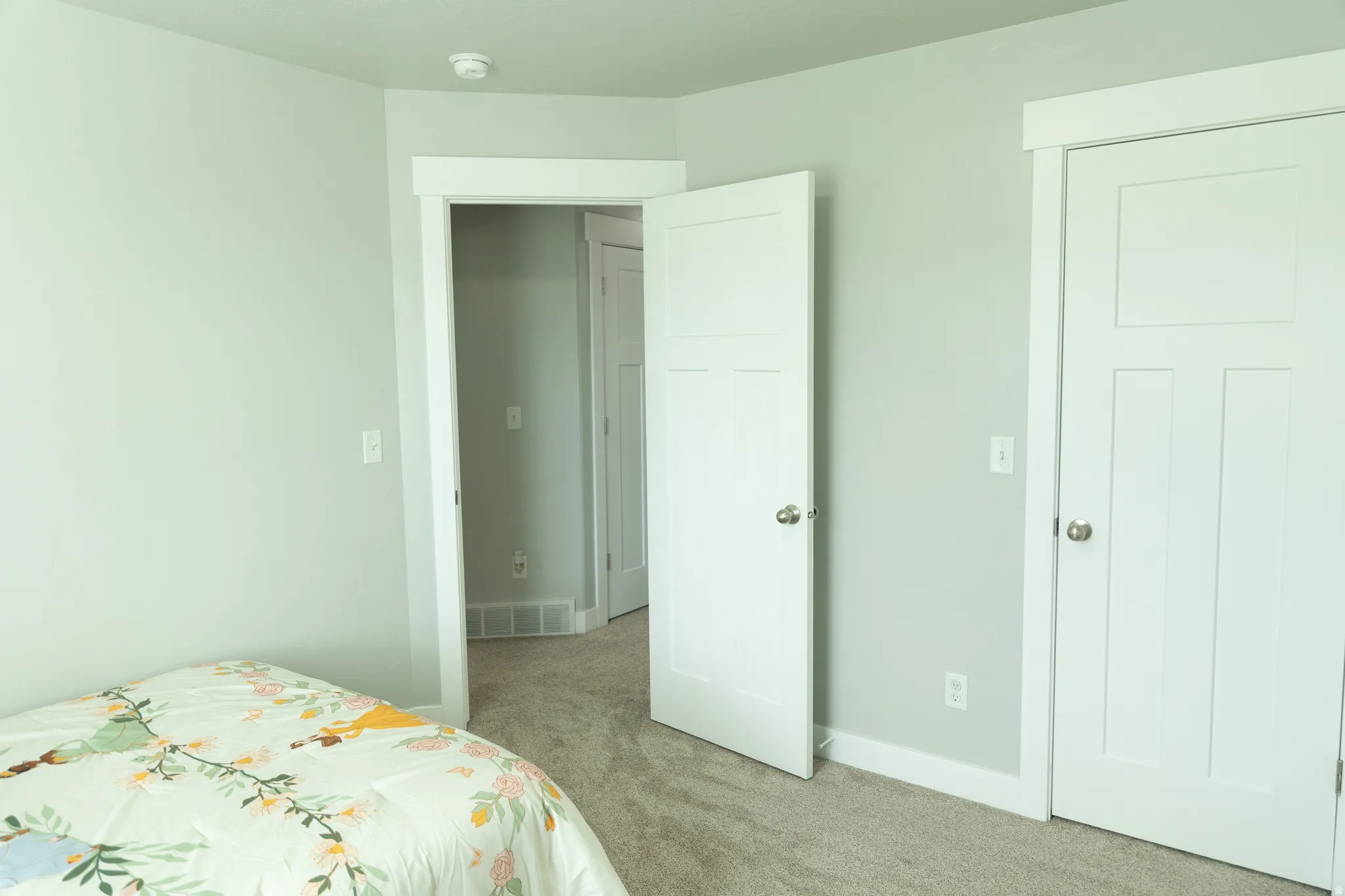 Light gray wall paint, white trim, and light gray carpeted flooring
