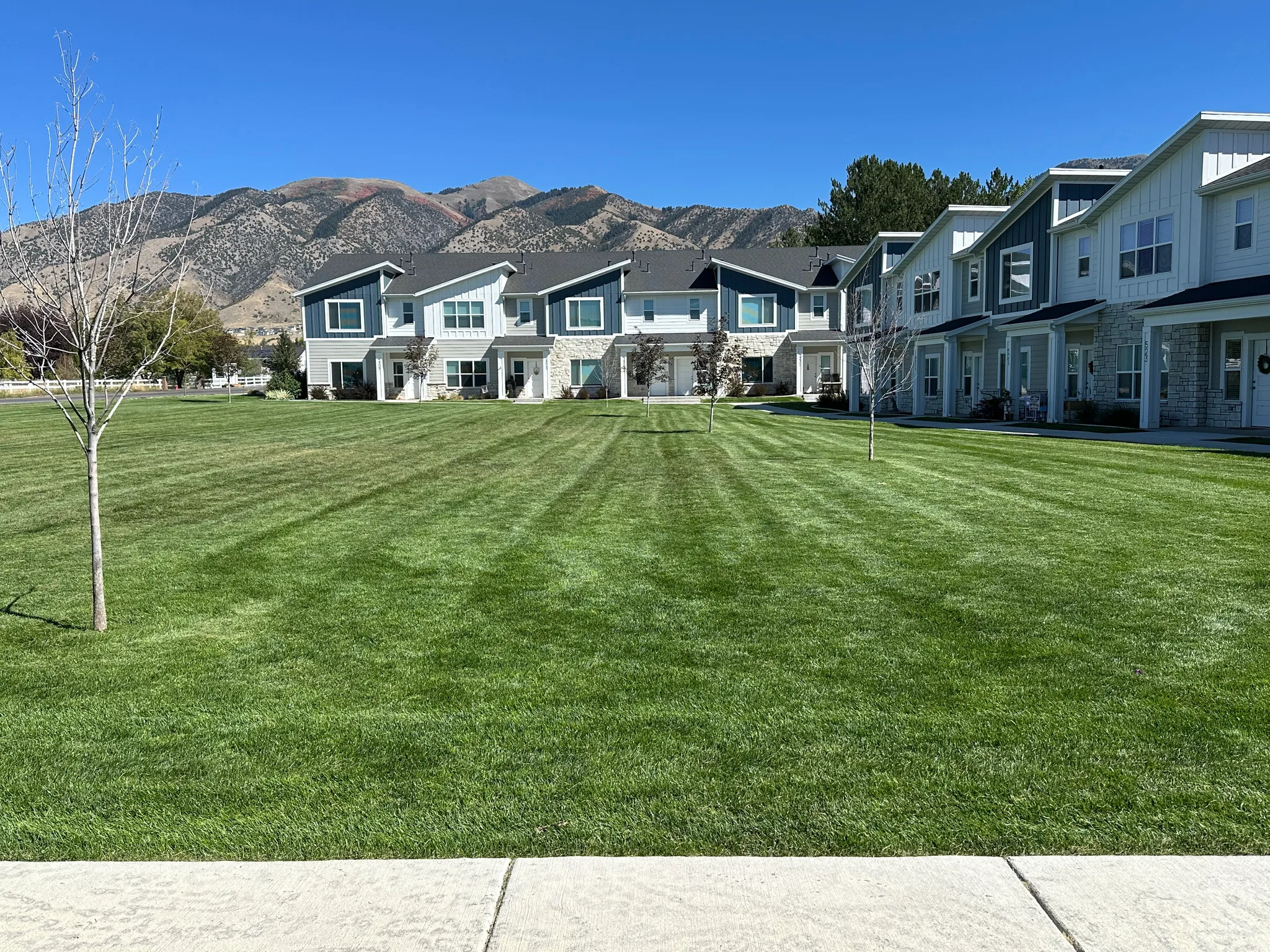 Expansive green space with manicured lawn