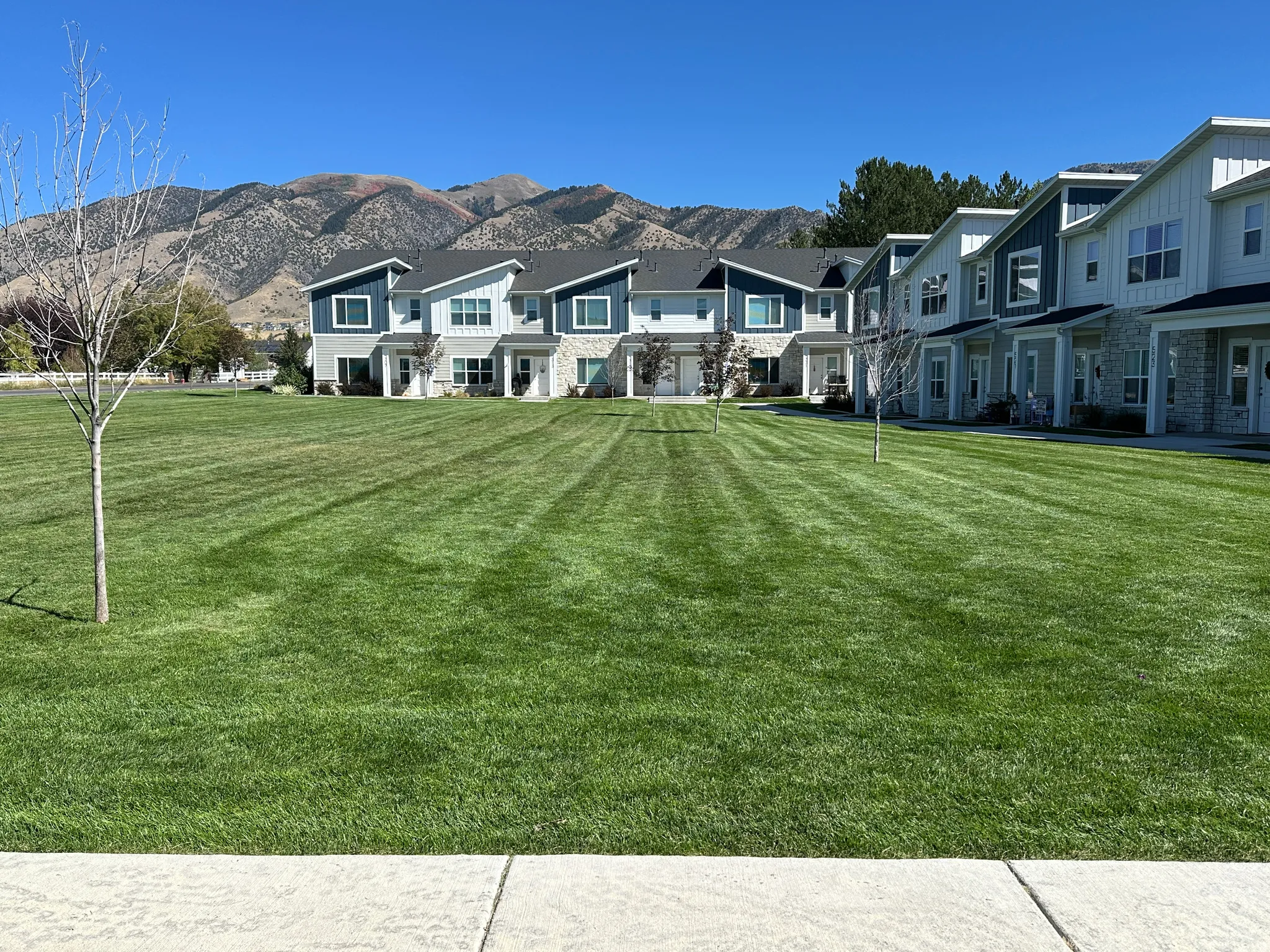 Expansive green space featuring a manicured lawn