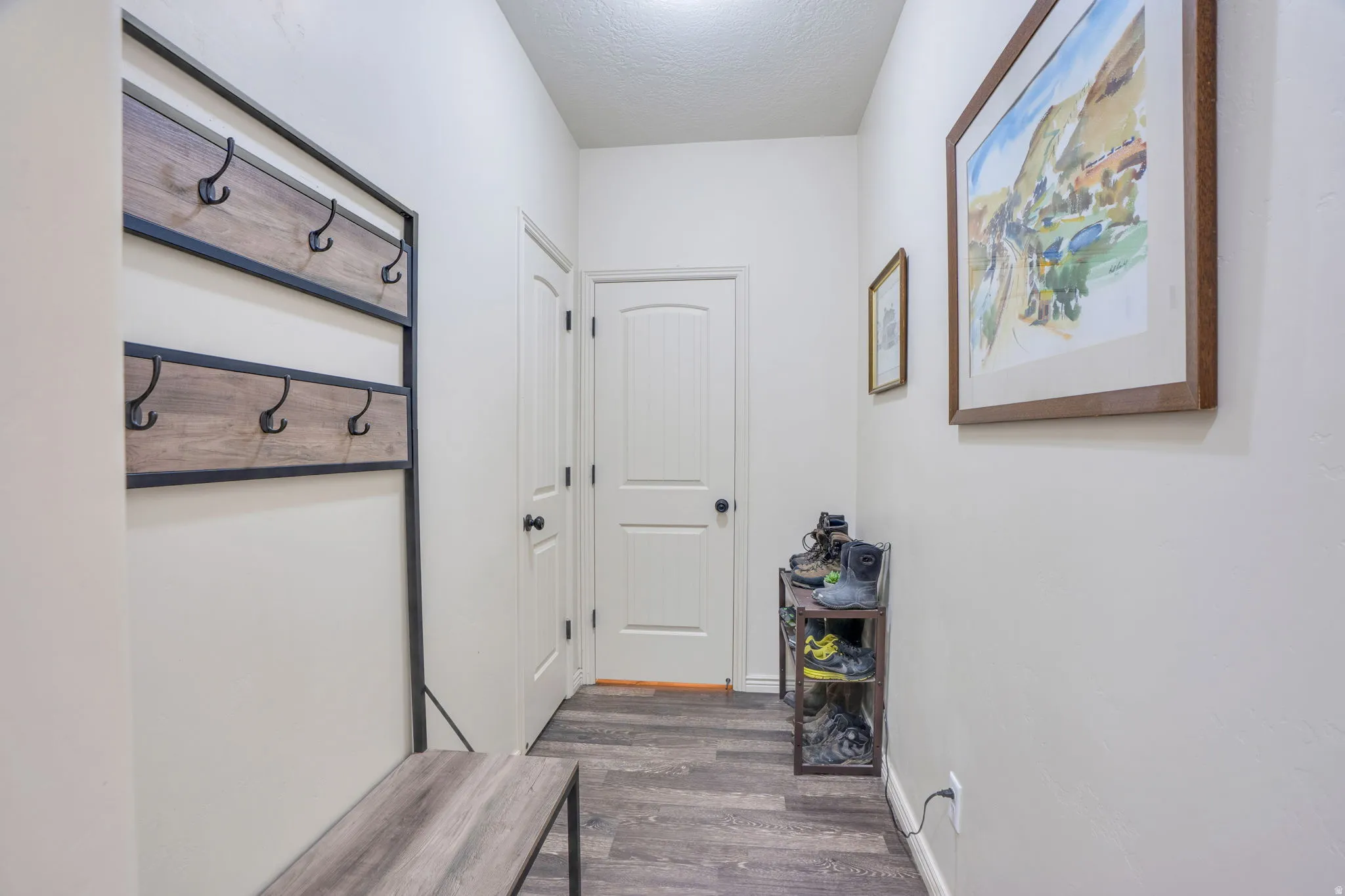 Wood-finish flooring with a subtle grain pattern, multiple paneled interior doors, and a built-in wall-mounted coat rack featuring wood-finish panels and black hooks