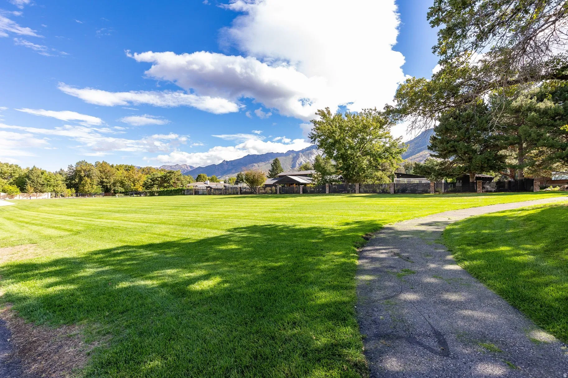 The park