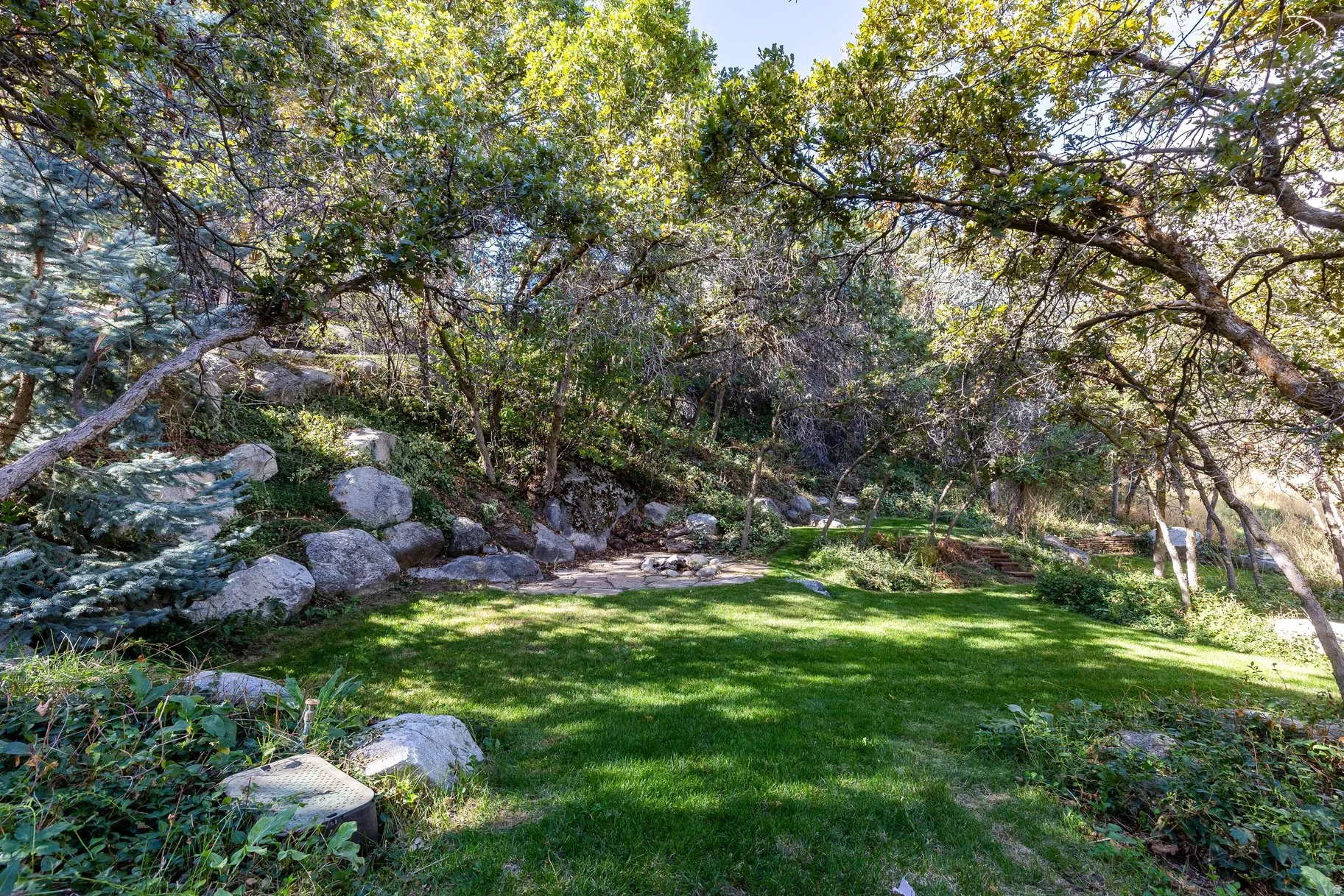 area in the backyard