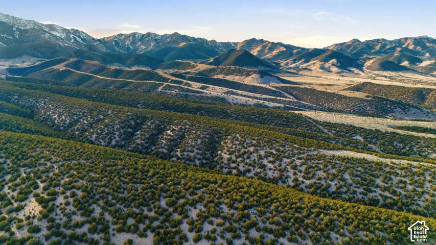 Expansive mountainous terrain with varied vegetation and distant snow-capped peaks