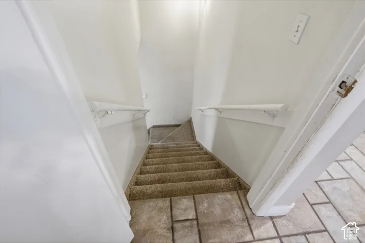 Carpeted staircase with white handrails to basement.