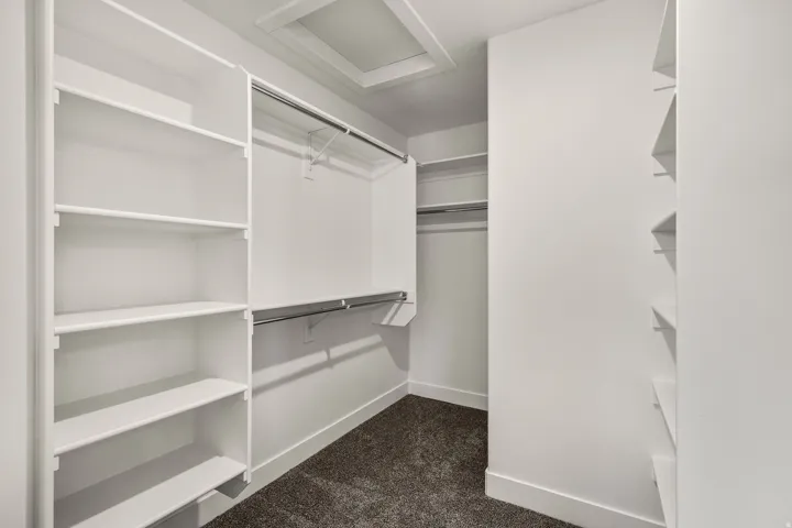 Integrated shelving, multiple hanging rods, and dark-toned carpeting