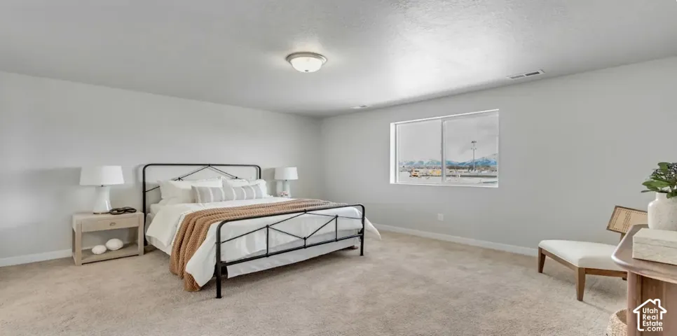 Neutral wall color, wall-to-wall carpeting, and a flush mount ceiling light. This home is to be built. Pictures are of a similar home.