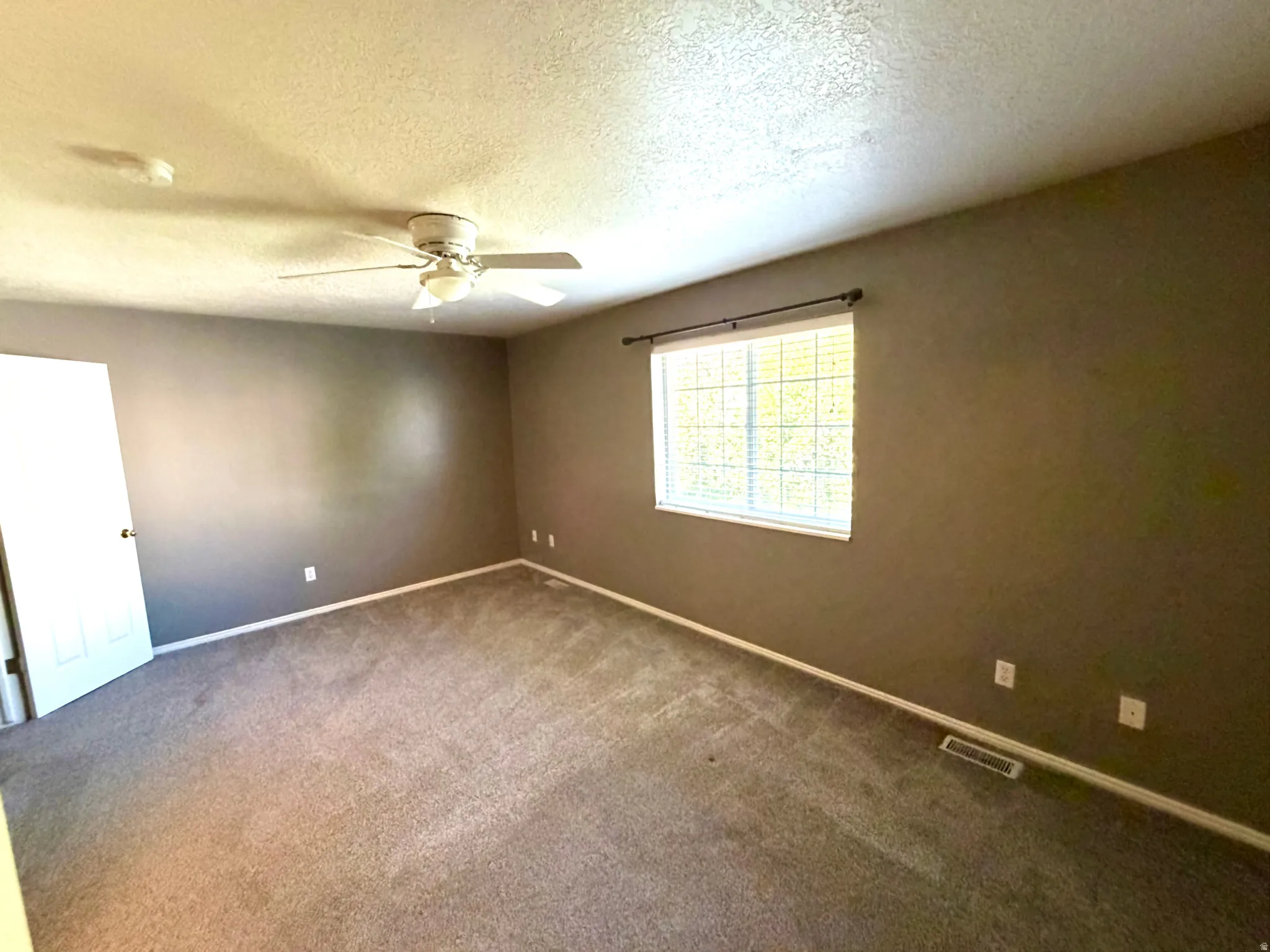 Spacious room with gray wall paint and light-toned carpeting