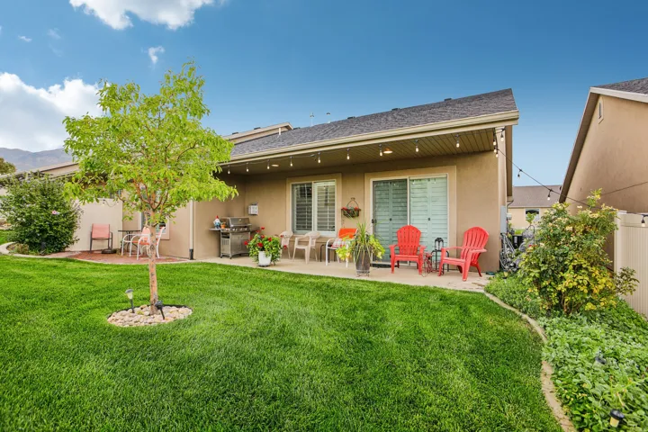 Expansive green lawn with a mature tree
