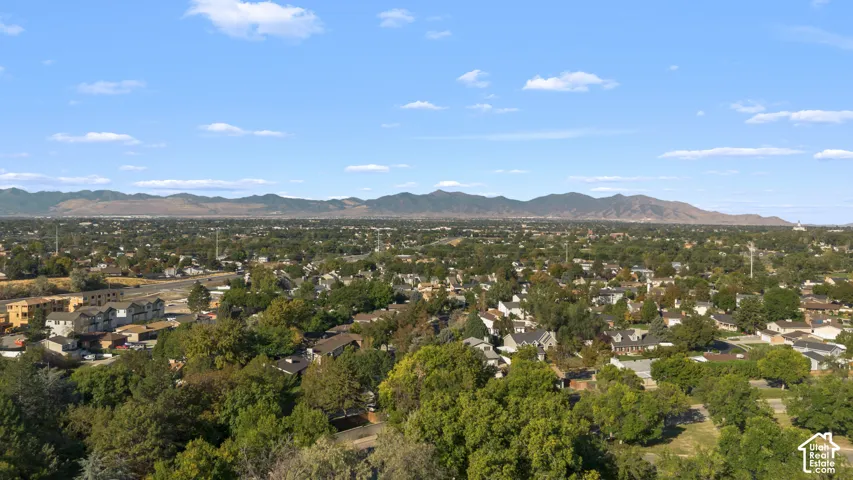 Expansive neighborhood setting with mature trees and established residences