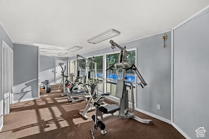 Carpeted interior space with light gray walls