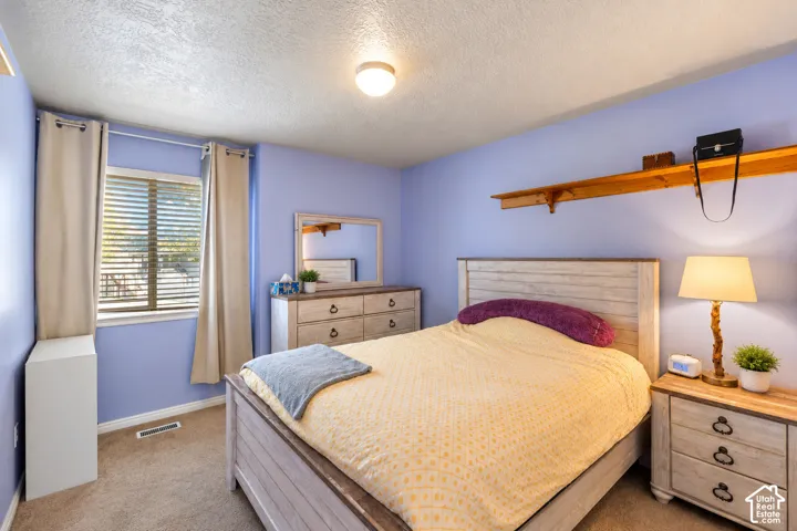 Bedroom interior featuring wall-to-wall carpeting, a dual-pane window with horizontal blinds, a ceiling-mounted light fixture, and a built-in wooden wall shelf
