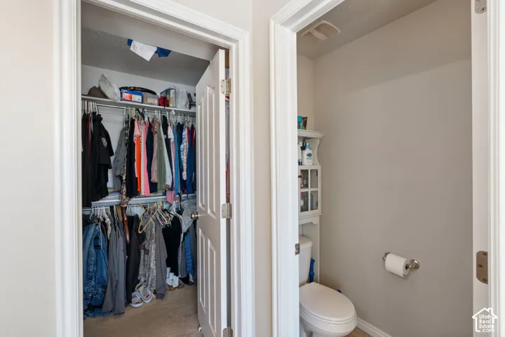 Walk-in closet featuring tiered wire shelving and neutral carpeting, accompanied by a dedicated water closet with a porcelain toilet and wall-mounted toilet paper holder