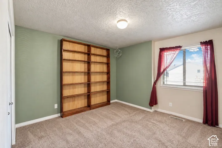 Built-in floor-to-ceiling wood shelving, wall-to-wall carpeting, and a flush-mount ceiling light fixture