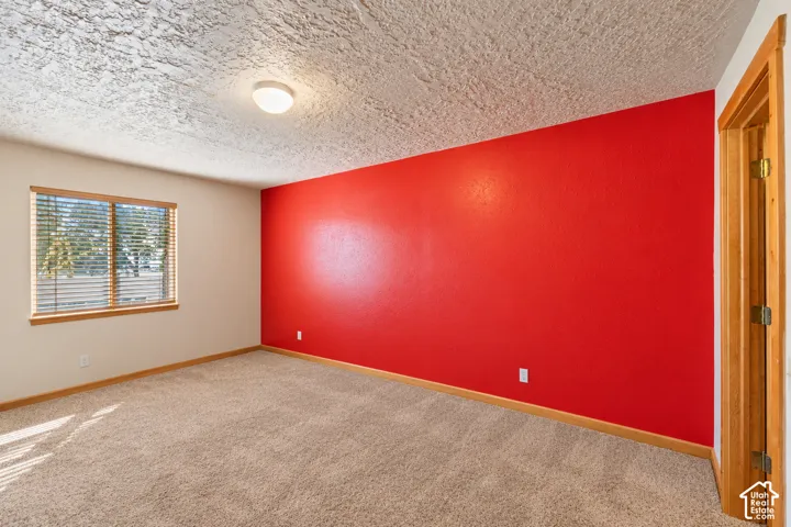 Room featuring neutral-toned carpeting, a textured ceiling, a single-window with wood-finish trim, and a prominent red accent wall