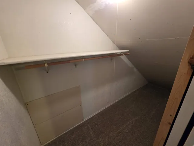 Closet space featuring a built-in shelf, garment rod, and wall-to-wall carpeting