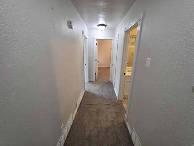Hallway featuring carpet flooring and overhead lighting
