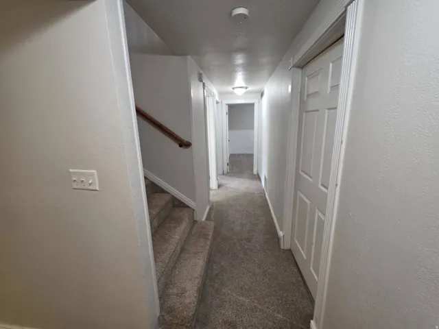 Carpeted staircase with wood handrail, textured walls, and interior doors with panel detailing