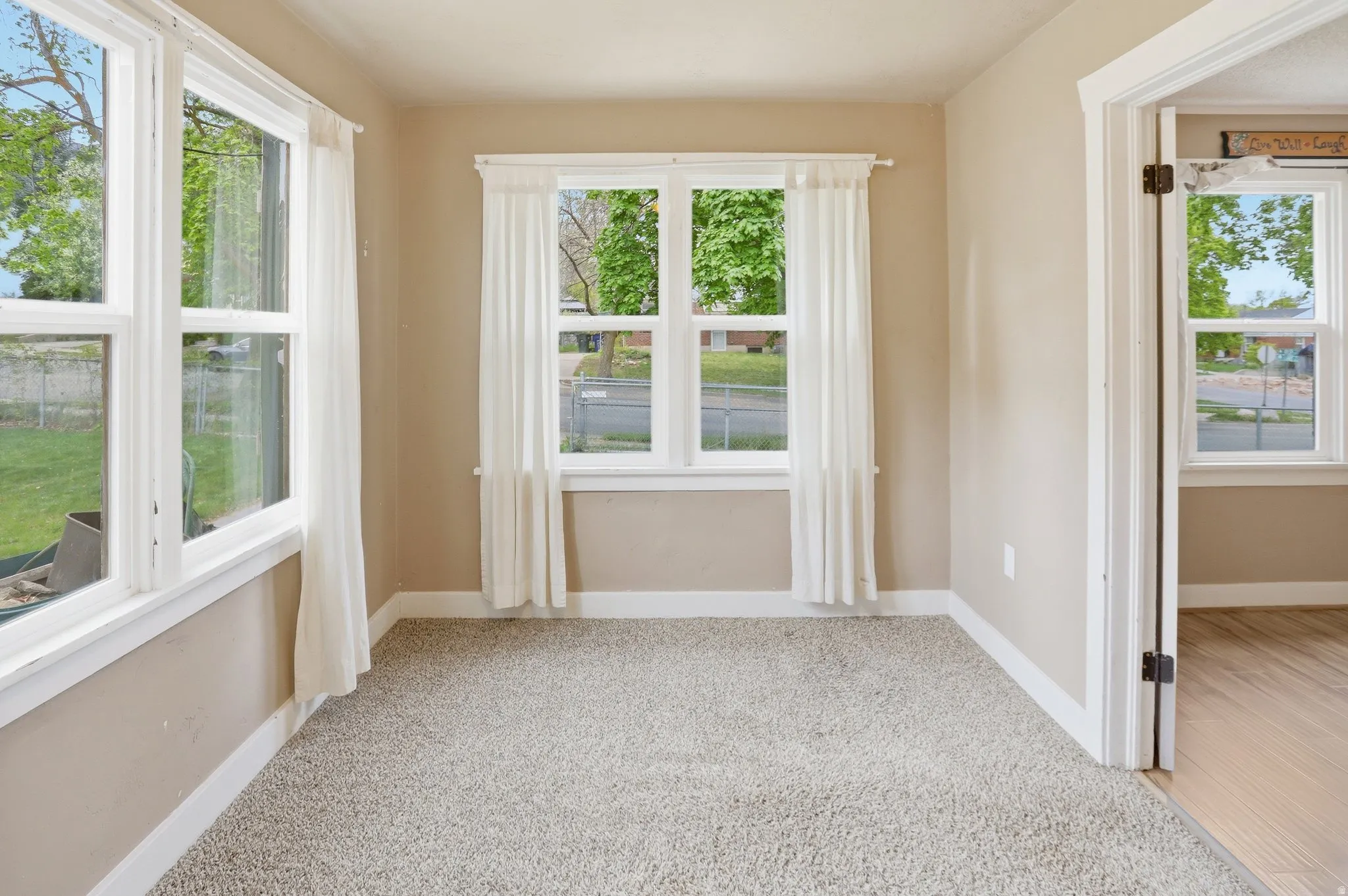 Plush carpeting, multiple windows, neutral wall tones, white trim, and a doorway opening to wood-finish flooring