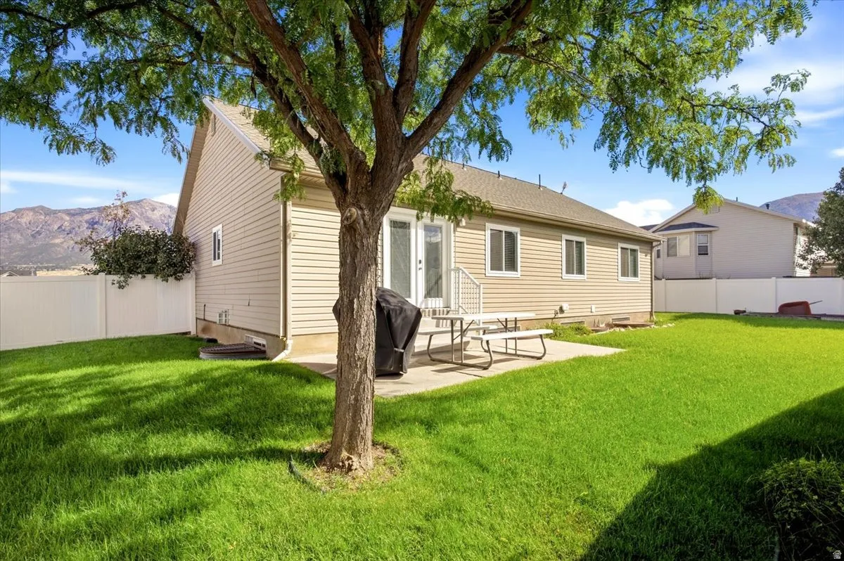 Expansive green lawn with a mature tree