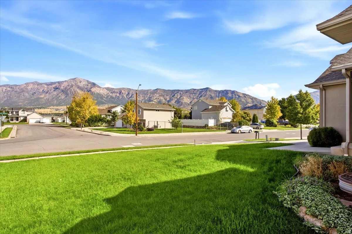 Expansive front lawn with established landscaping and concrete walkway