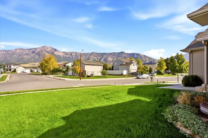 Expansive front lawn with established landscaping and concrete walkway
