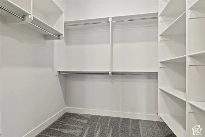 Walk-in closet featuring built-in shelving, multiple hanging rods, and patterned carpeting